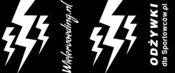 Lightning Bidon - Zwart - 500 ml